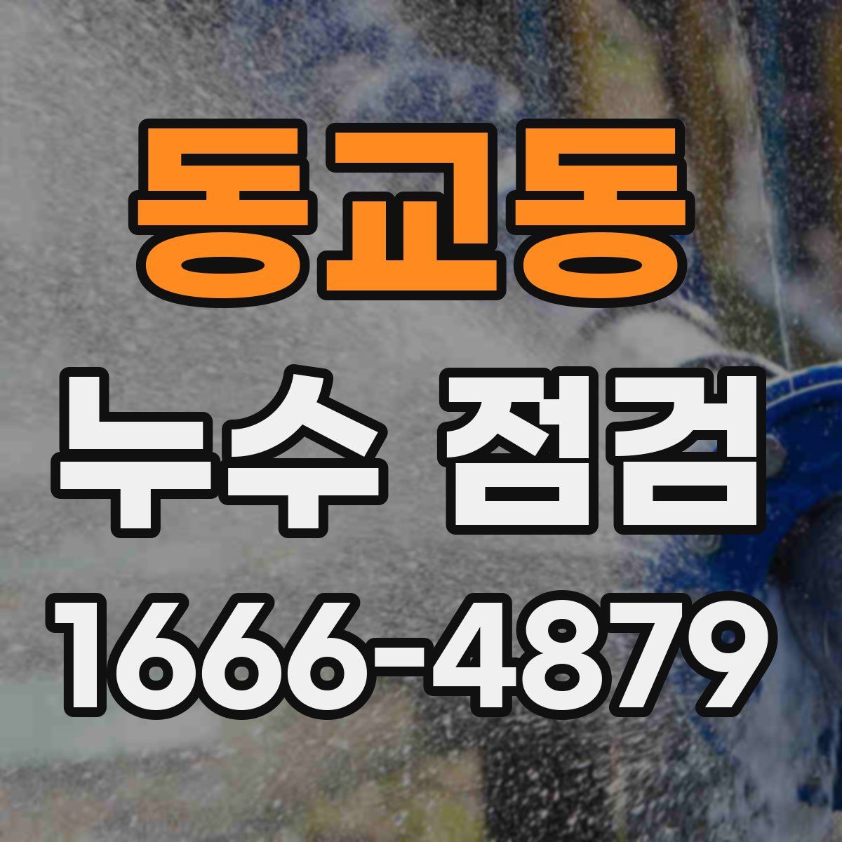 동교동 누수 점검