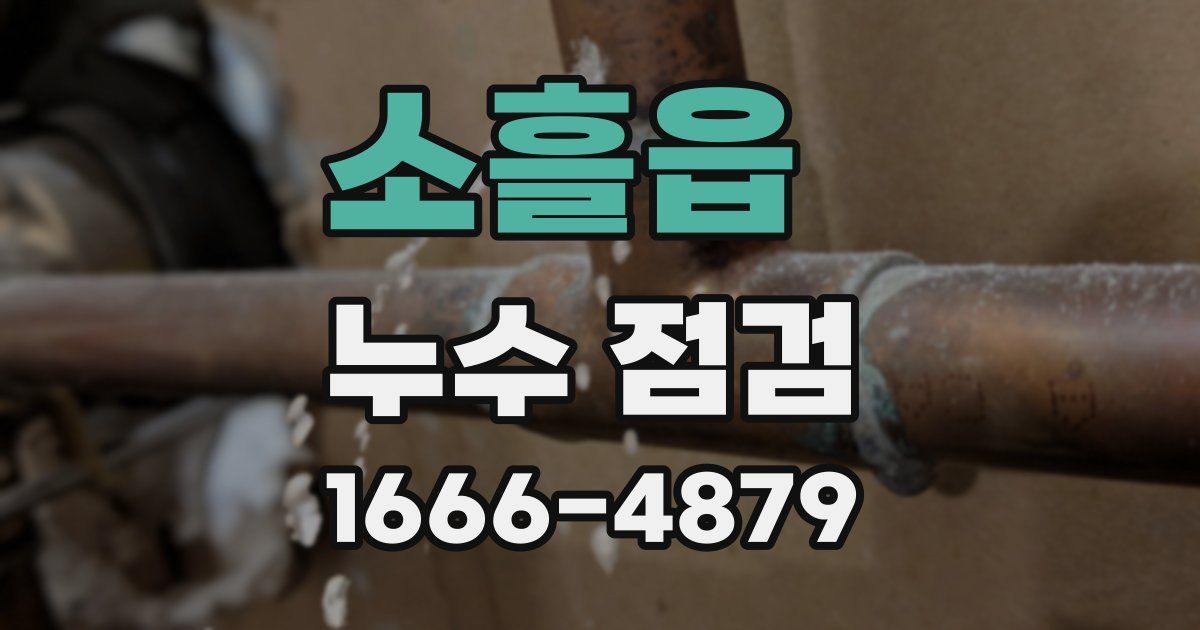 소흘읍 누수 점검