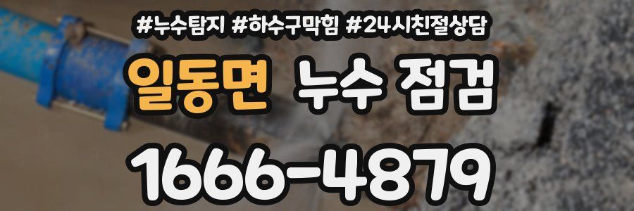 일동면 누수 점검