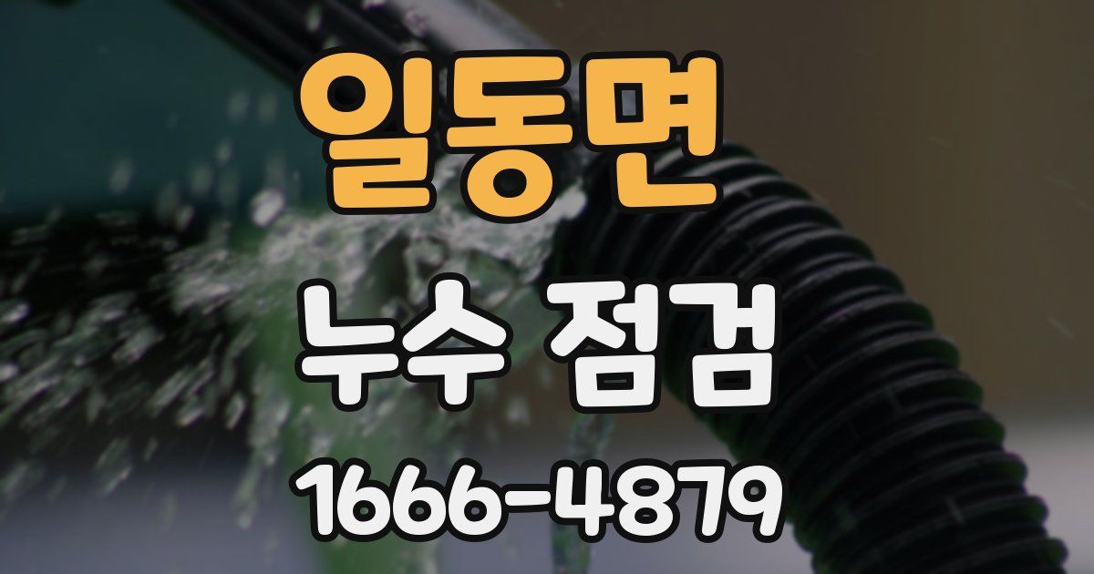 일동면 누수 점검