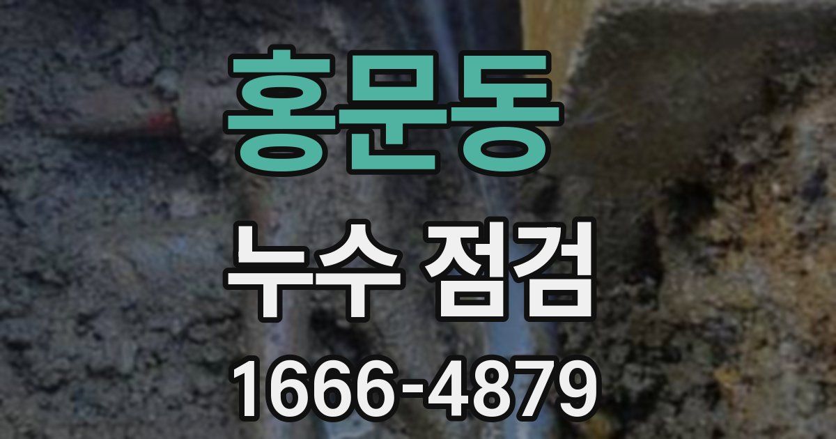 홍문동 누수 점검