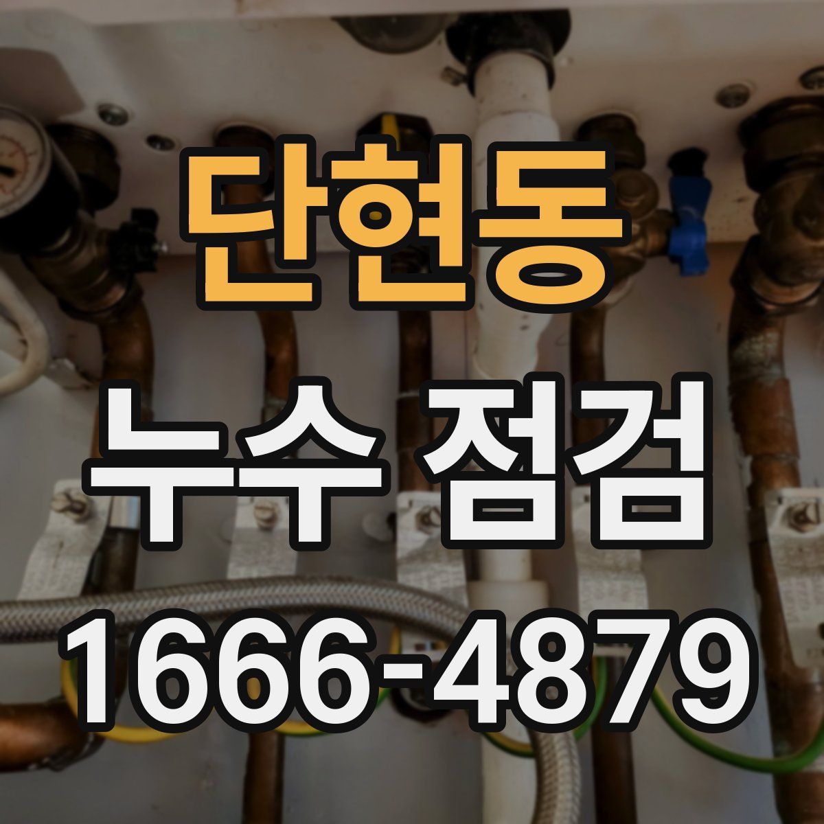 단현동 누수 점검
