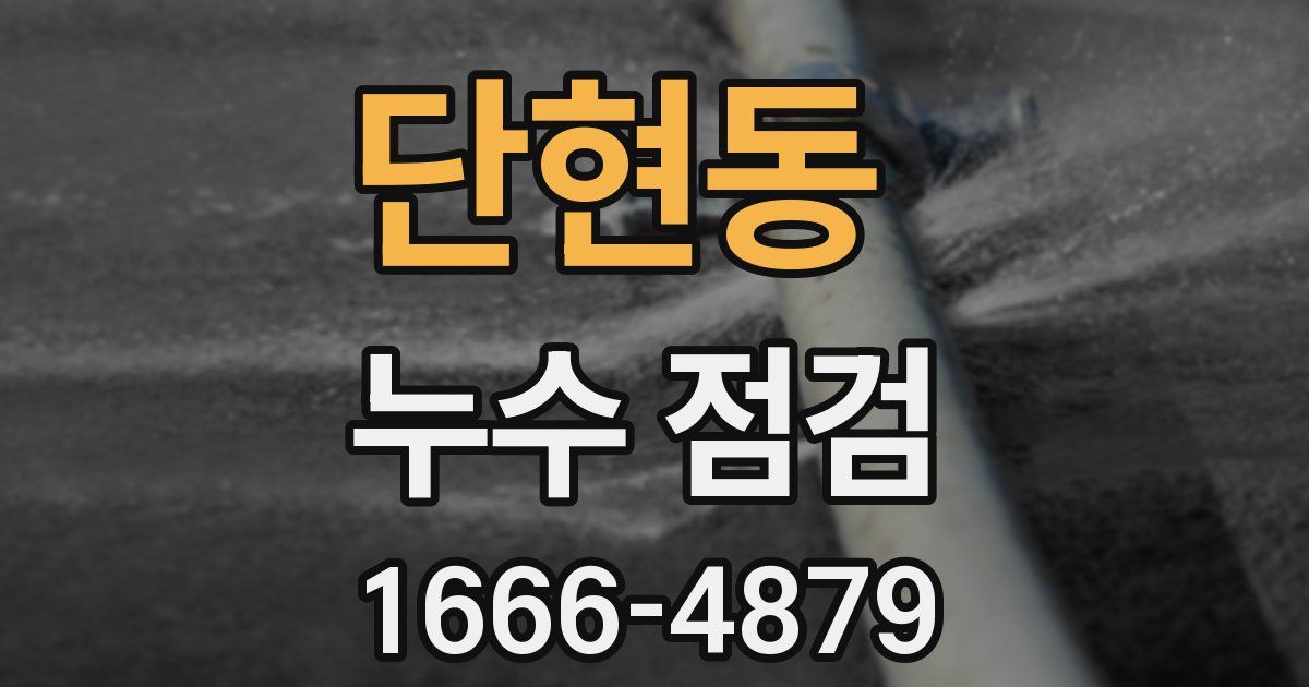 단현동 누수 점검