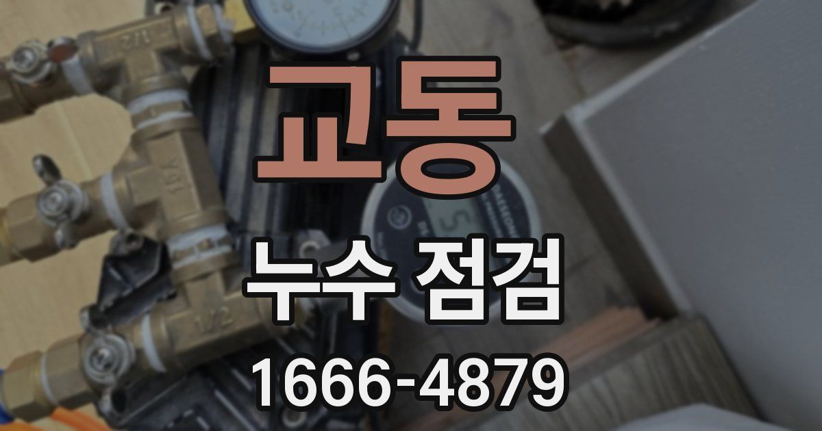 교동 누수 점검