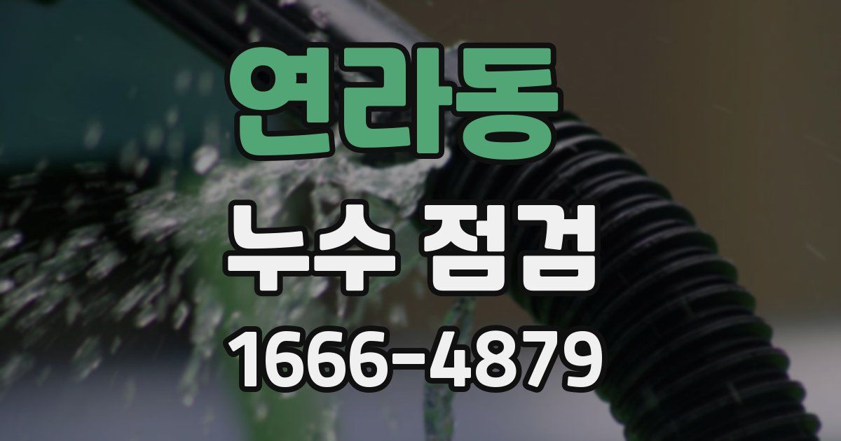 연라동 누수 점검
