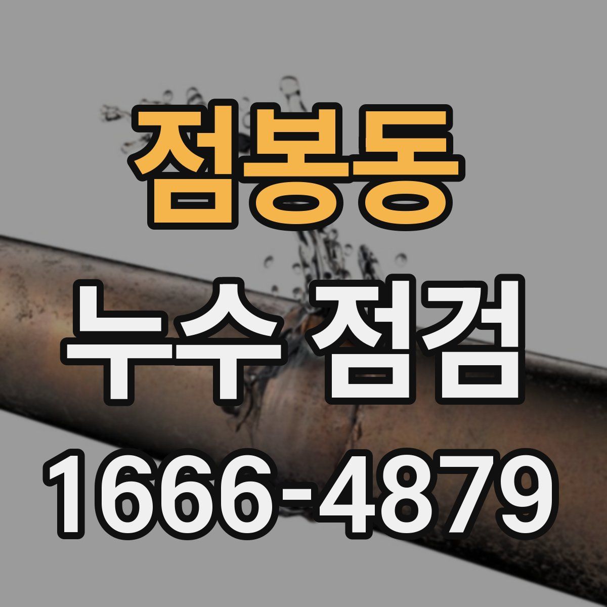 점봉동 누수 점검