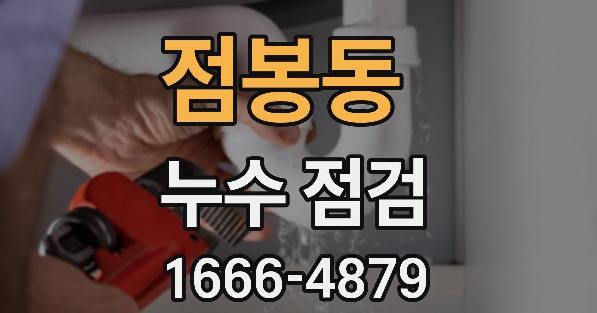 점봉동 누수 점검