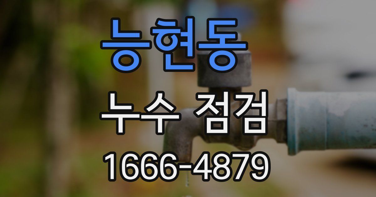 능현동 누수 점검