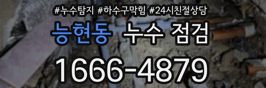 능현동 누수 점검