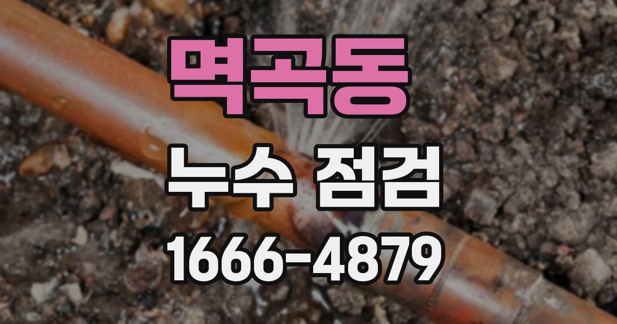 멱곡동 누수 점검