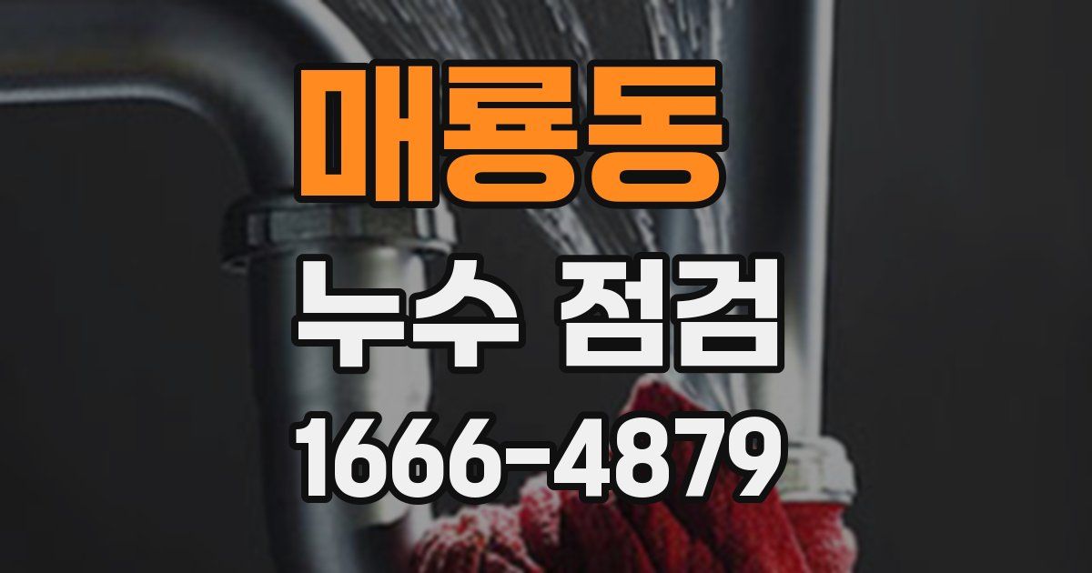 매룡동 누수 점검