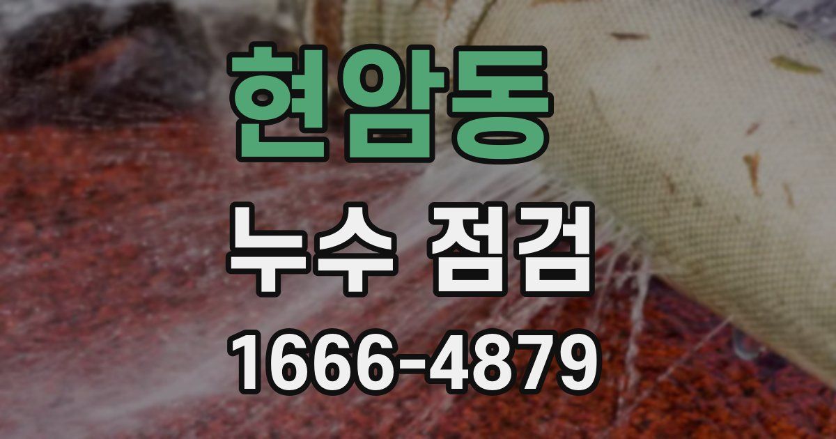 현암동 누수 점검