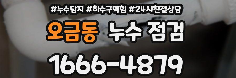 오금동 누수 점검