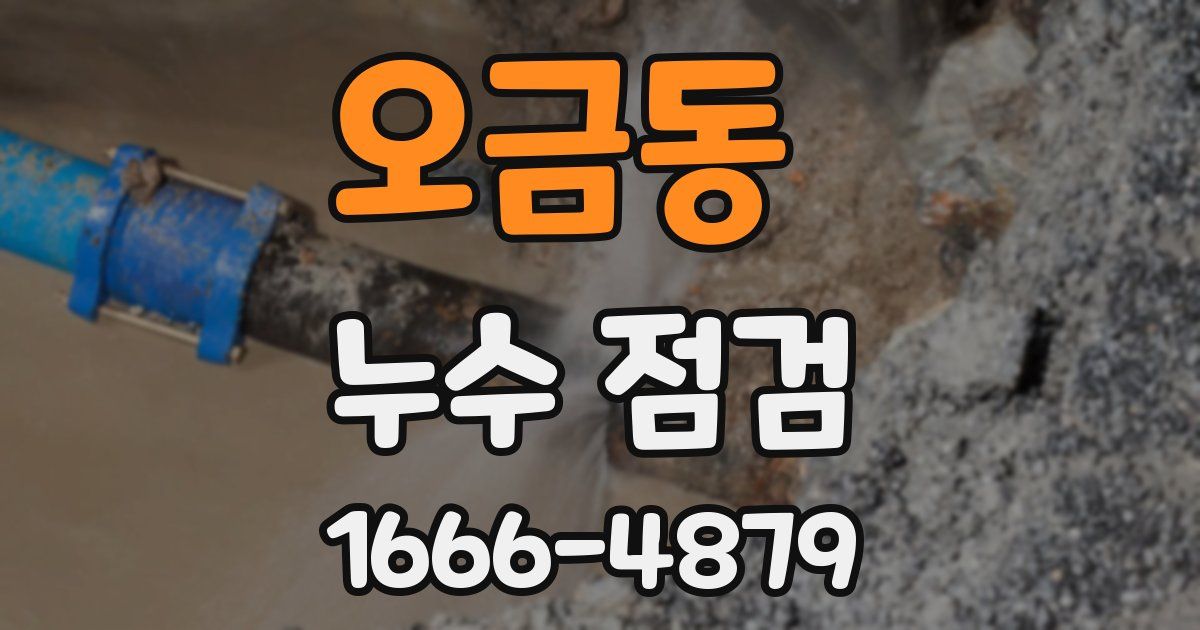 오금동 누수 점검
