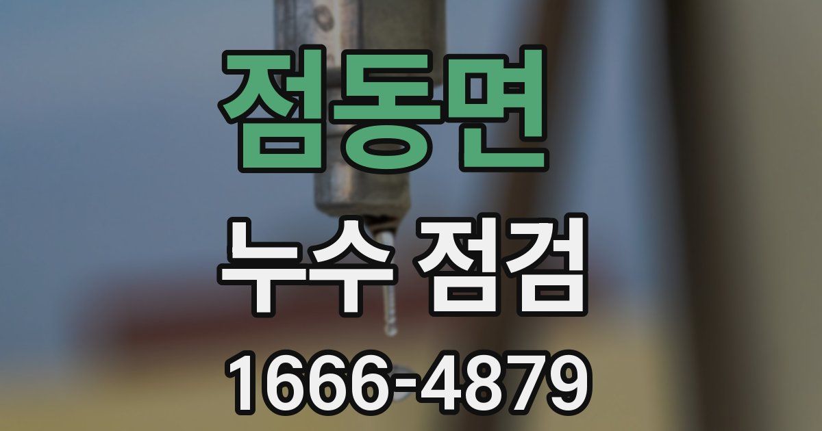 점동면 누수 점검
