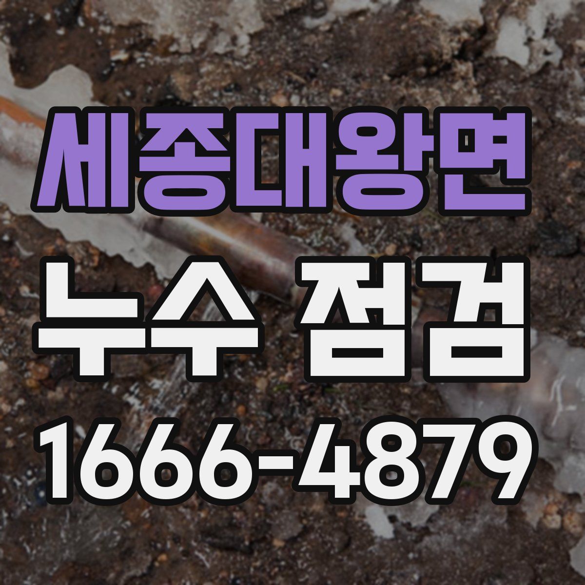 세종대왕면 누수 점검