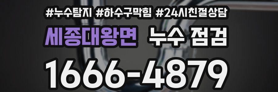 세종대왕면 누수 점검