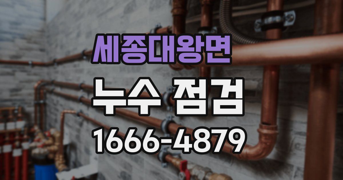 세종대왕면 누수 점검