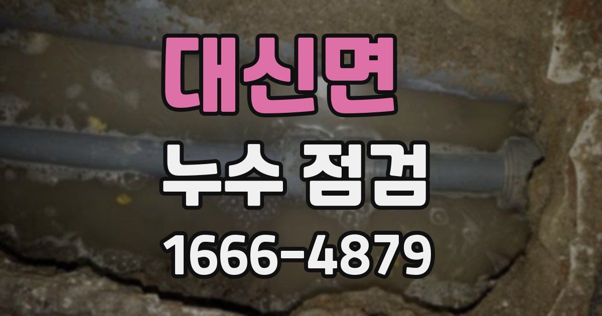 대신면 누수 점검