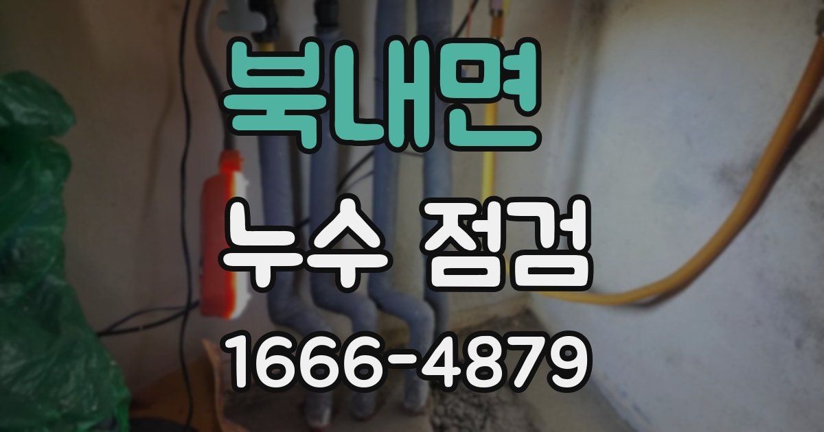북내면 누수 점검