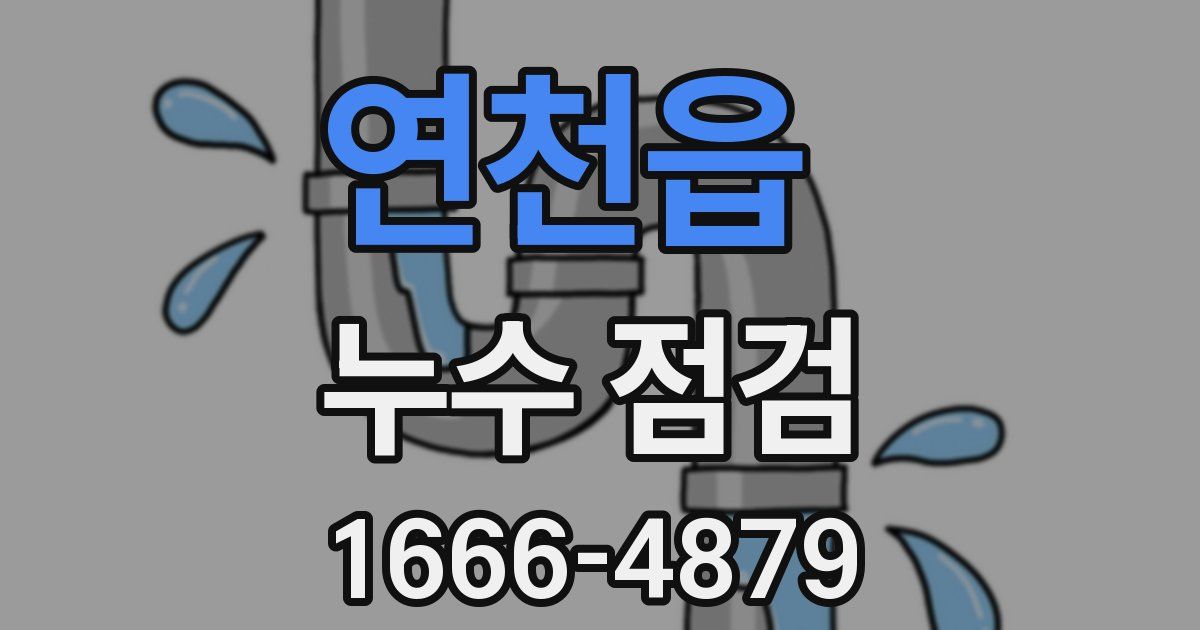 연천읍 누수 점검