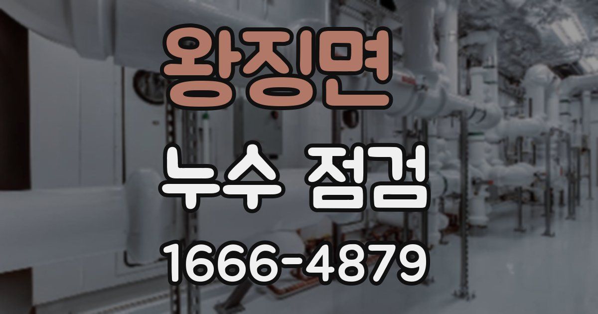 왕징면 누수 점검