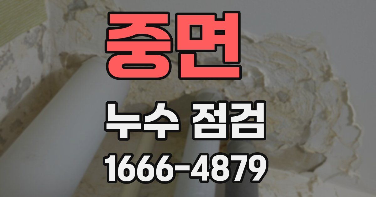 중면 누수 점검