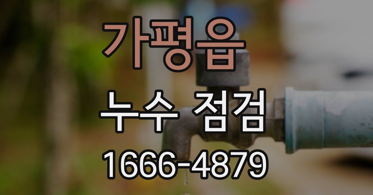 가평읍 누수 점검