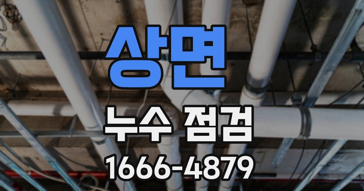 상면 누수 점검