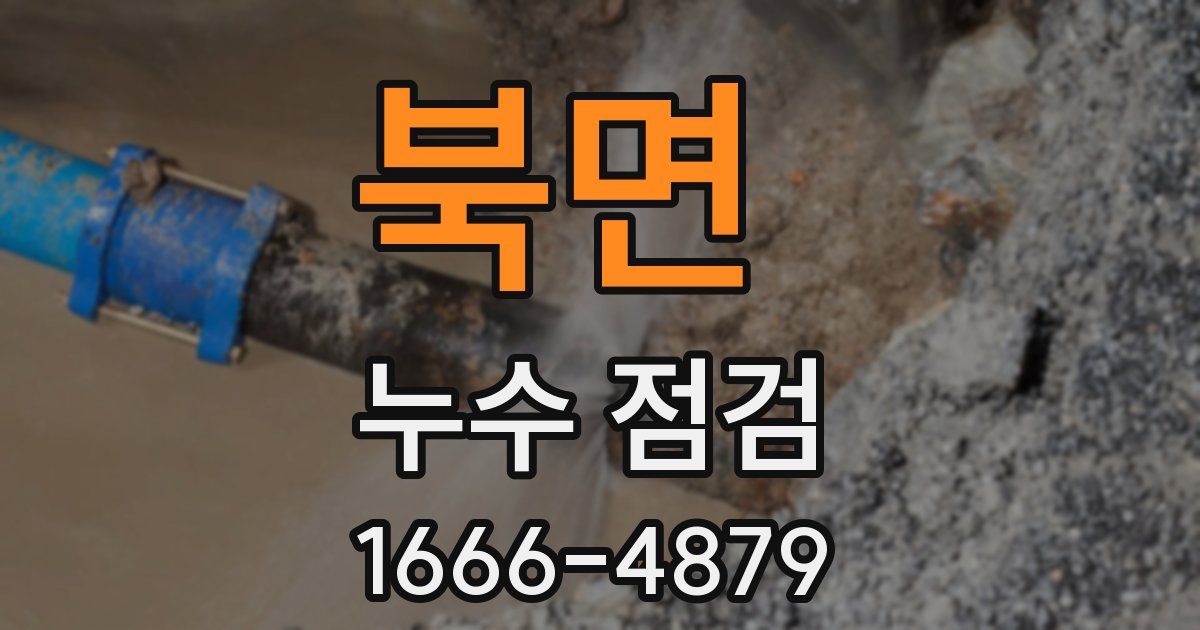 북면 누수 점검