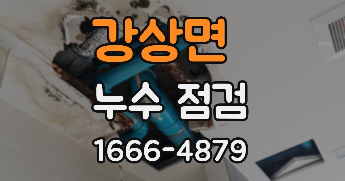 강상면 누수 점검