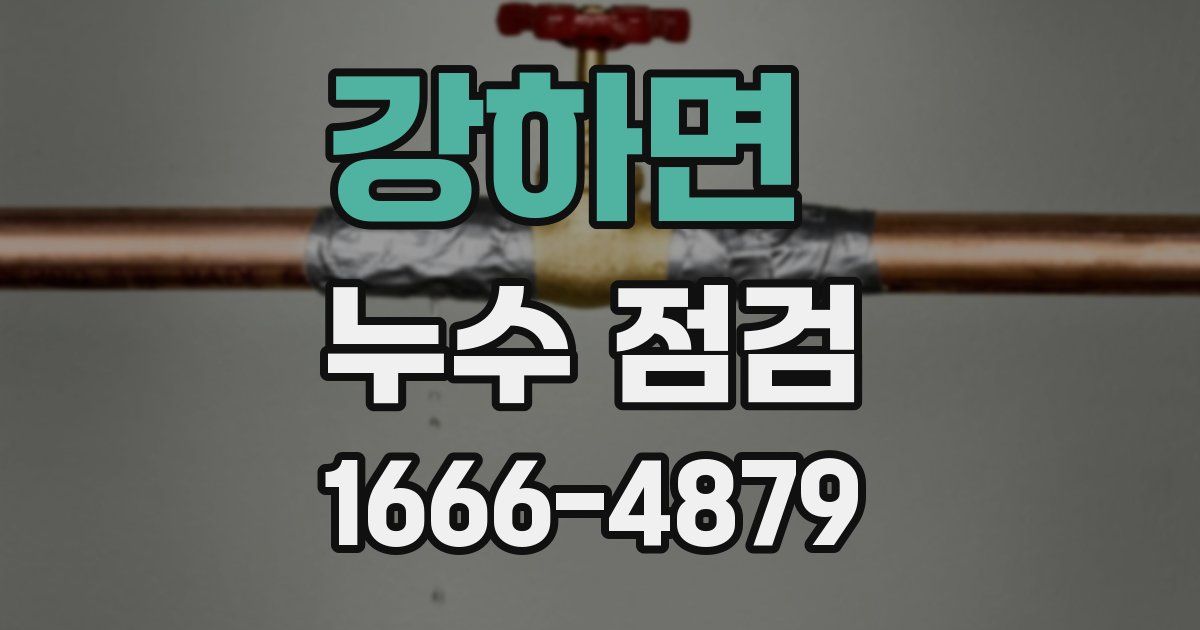 강하면 누수 점검
