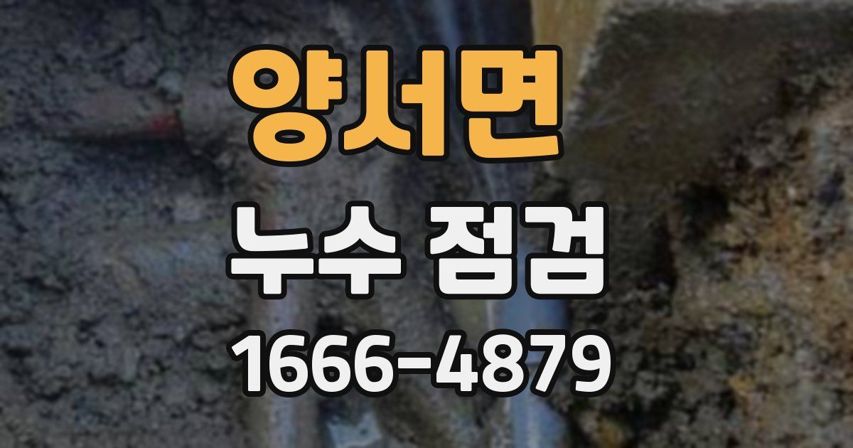 양서면 누수 점검