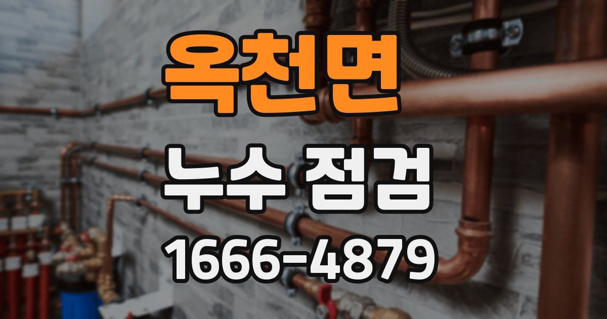 옥천면 누수 점검
