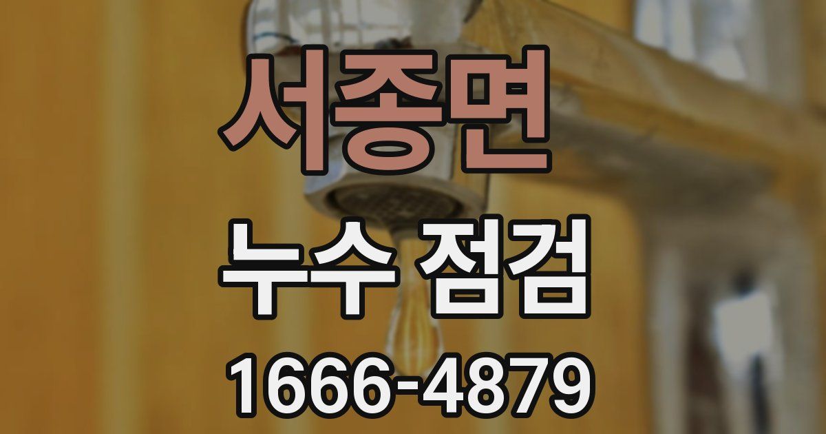 서종면 누수 점검