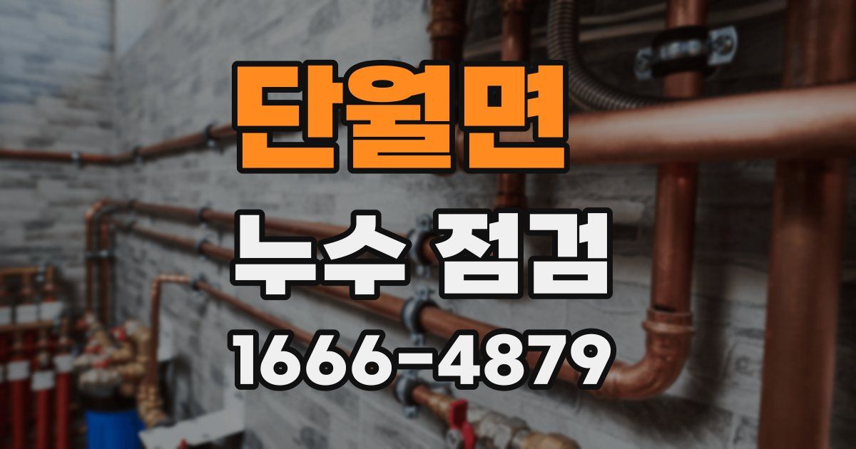 단월면 누수 점검