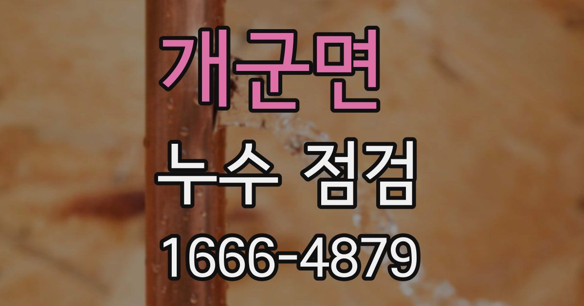 개군면 누수 점검