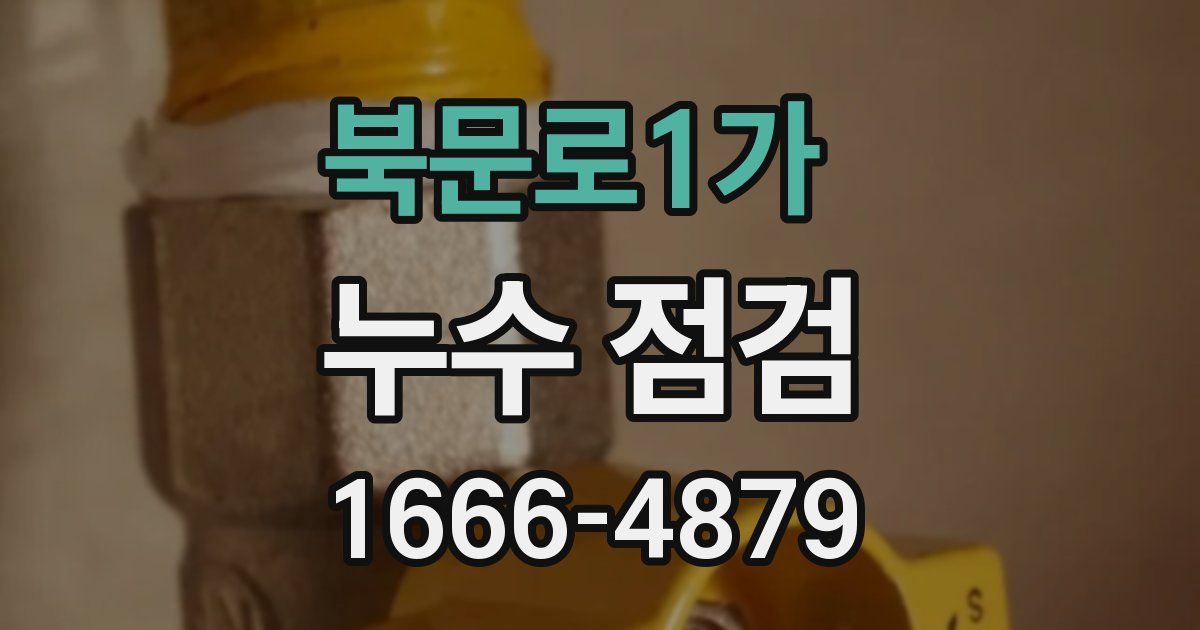 북문로1가 누수 점검