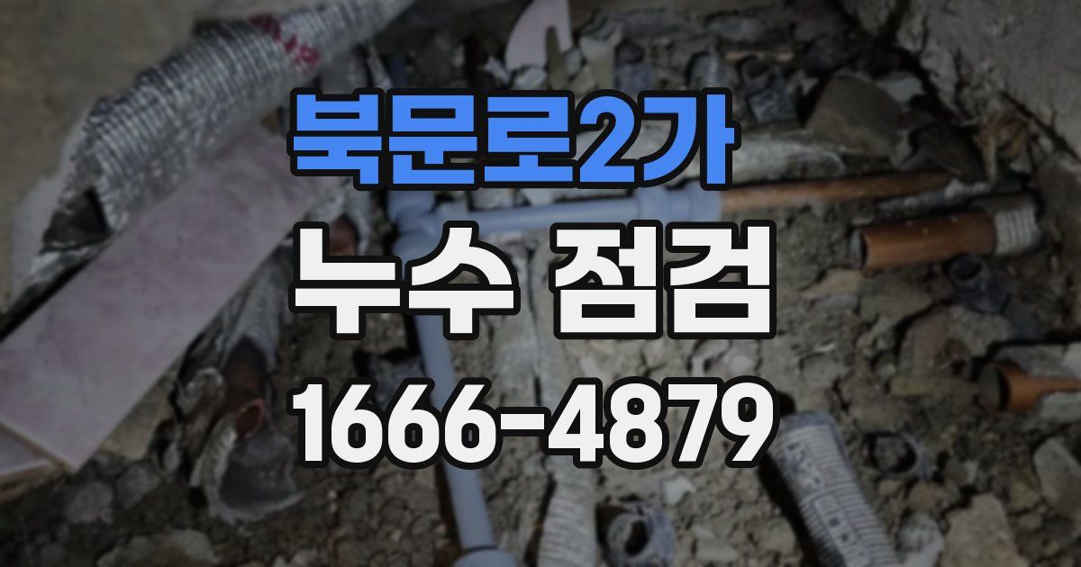 북문로2가 누수 점검