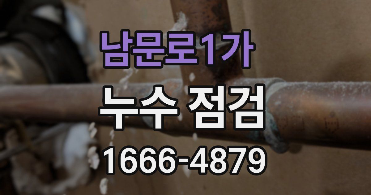 남문로1가 누수 점검