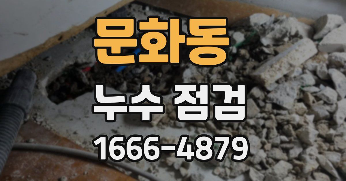 문화동 누수 점검