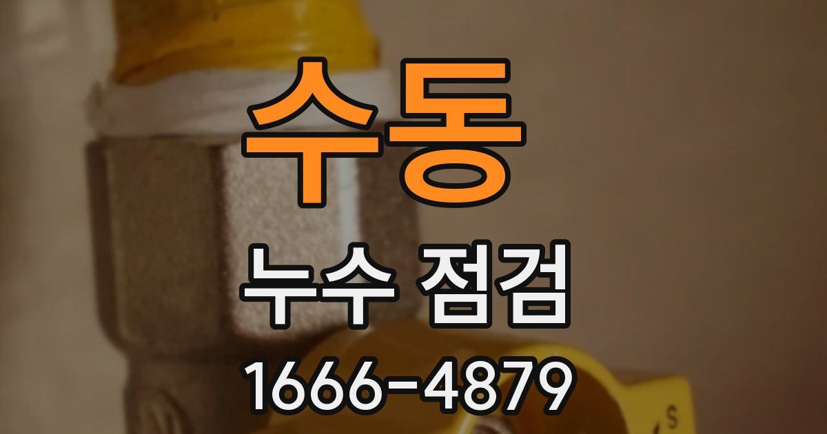 수동 누수 점검