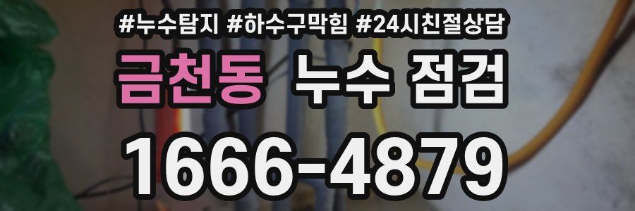 금천동 누수 점검
