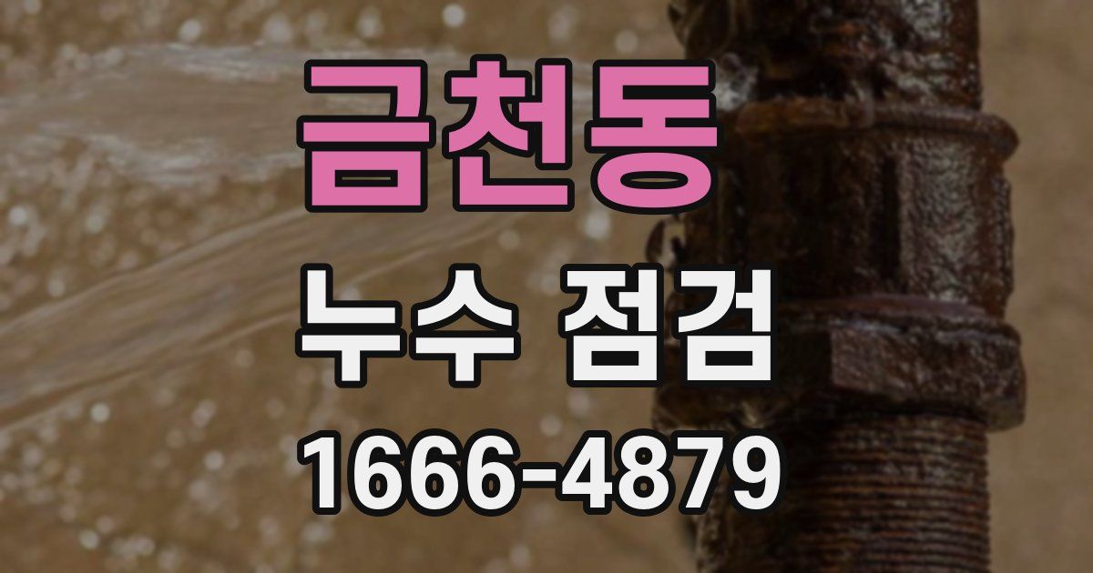 금천동 누수 점검
