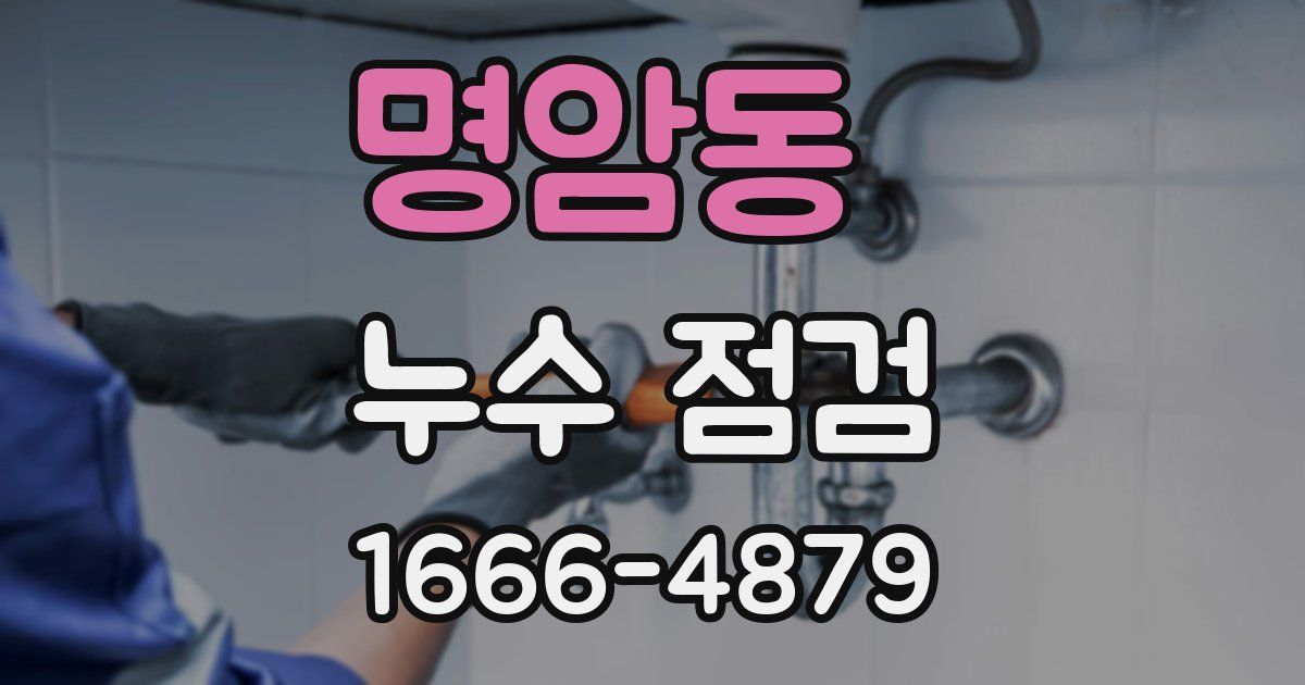 명암동 누수 점검