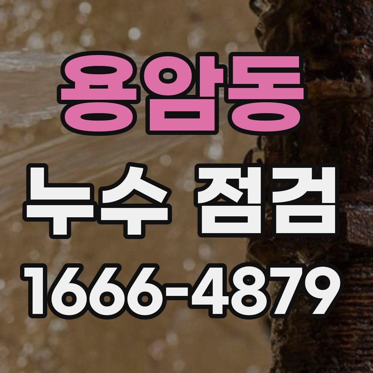 용암동 누수 점검