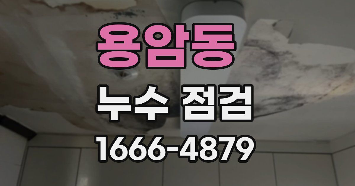 용암동 누수 점검