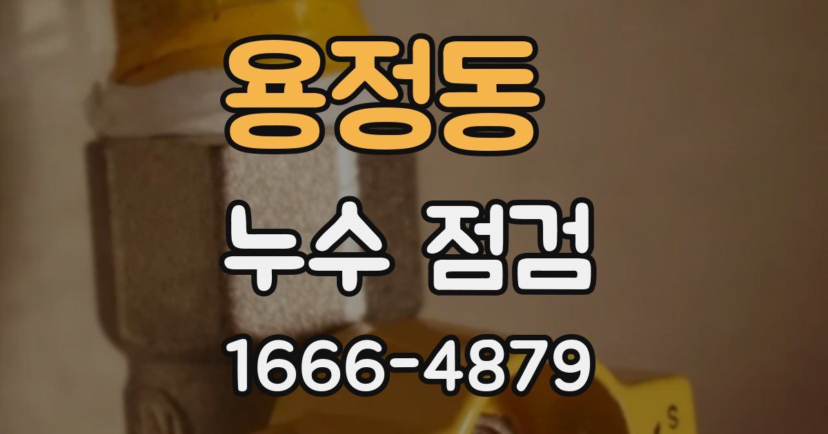 용정동 누수 점검