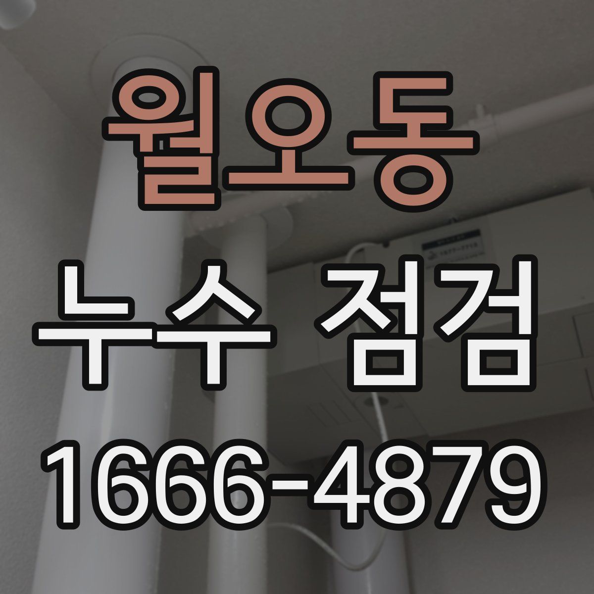 월오동 누수 점검