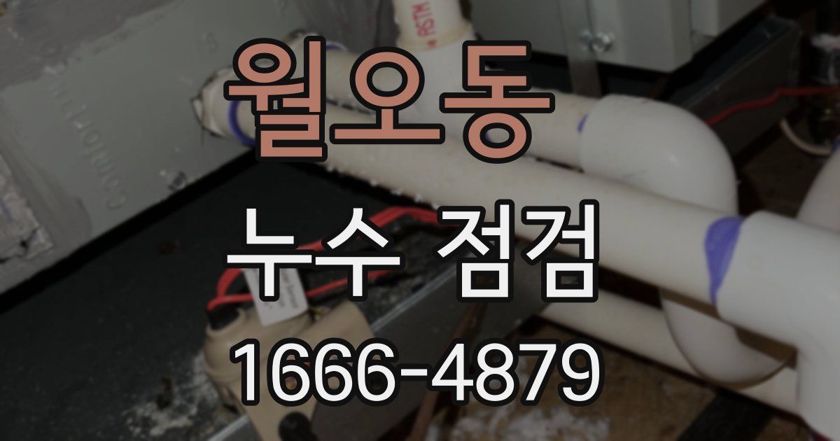 월오동 누수 점검